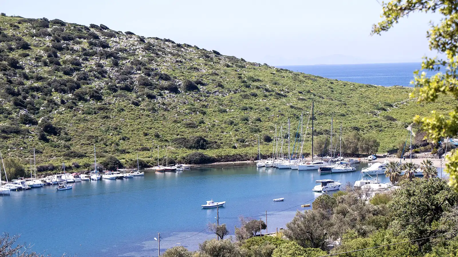 Taş duvarlı butik otel avlusu ve zeytin ağaçları